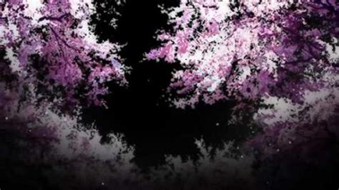 樱花动漫正式版下载_樱花动漫安卓版下载