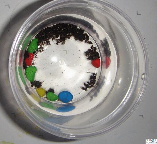 魔法鱼最全游戏攻略解说_魔法鱼最新游戏技巧通关