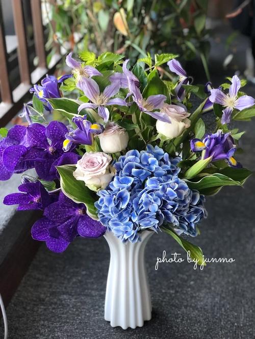 魔法花园全流程攻略解说_魔法花园最新通关技巧