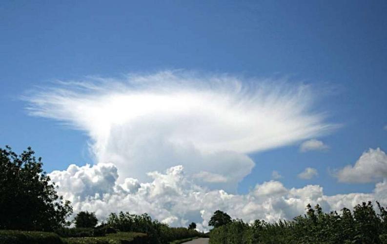 鬃积雨云最全游戏攻略解说_鬃积雨云最新游戏技巧通关