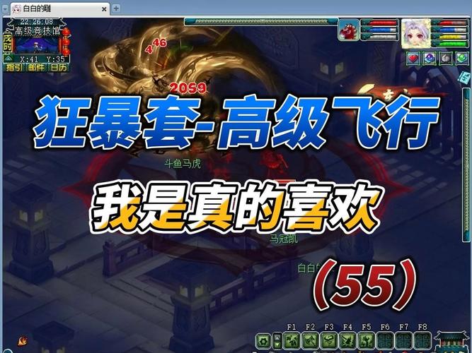 高级飞行最全游戏攻略解说_高级飞行最新游戏技巧通关