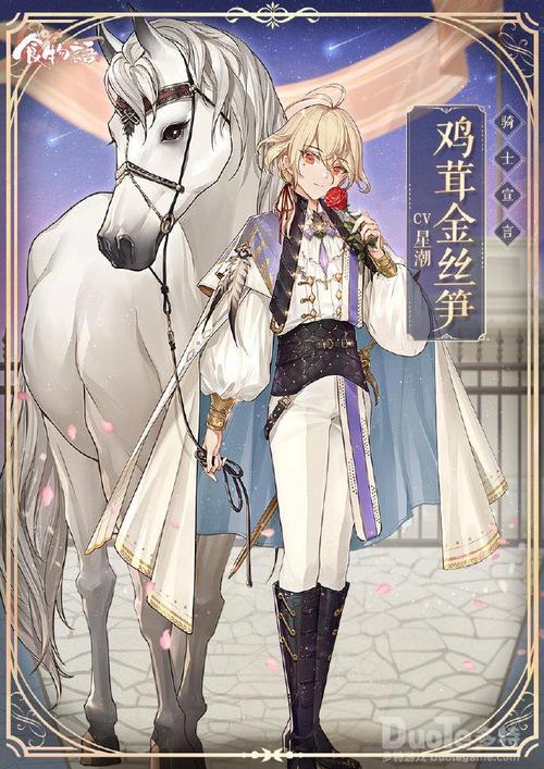 骑士宣言 最全游戏攻略解说_骑士宣言 最新游戏技巧通关