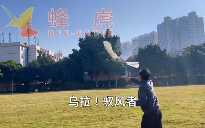 驭风者最全游戏攻略解说_驭风者最新游戏技巧通关