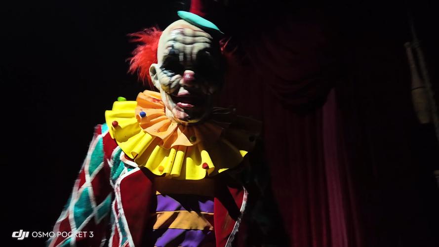 马戏团小丑最全游戏攻略解说_马戏团小丑最新游戏技巧通关