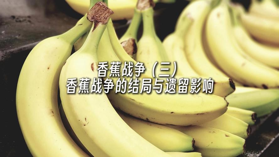 香蕉战争最全游戏攻略解说_香蕉战争最新游戏技巧通关