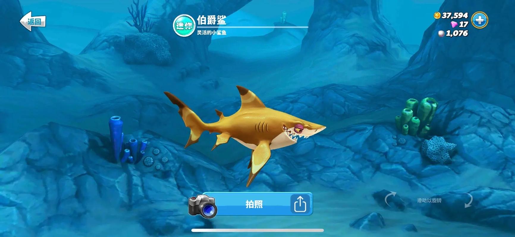 饥饿鲨下载最全游戏攻略解说_饥饿鲨下载最新游戏技巧通关