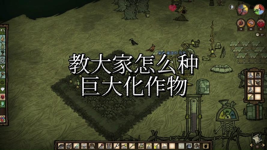 饥荒鼹鼠帽代码最全游戏攻略解说_饥荒鼹鼠帽代码最新游戏技巧通关