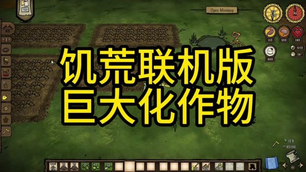 饥荒萤火虫代码全流程攻略_萤火虫代码隐藏要素收集