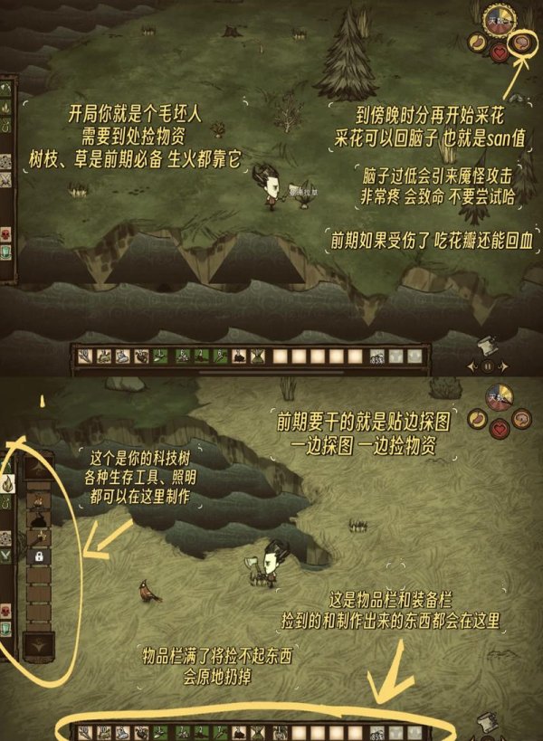 饥荒游戏新手入门到精通攻略_饥荒游戏资源获取与生存技巧