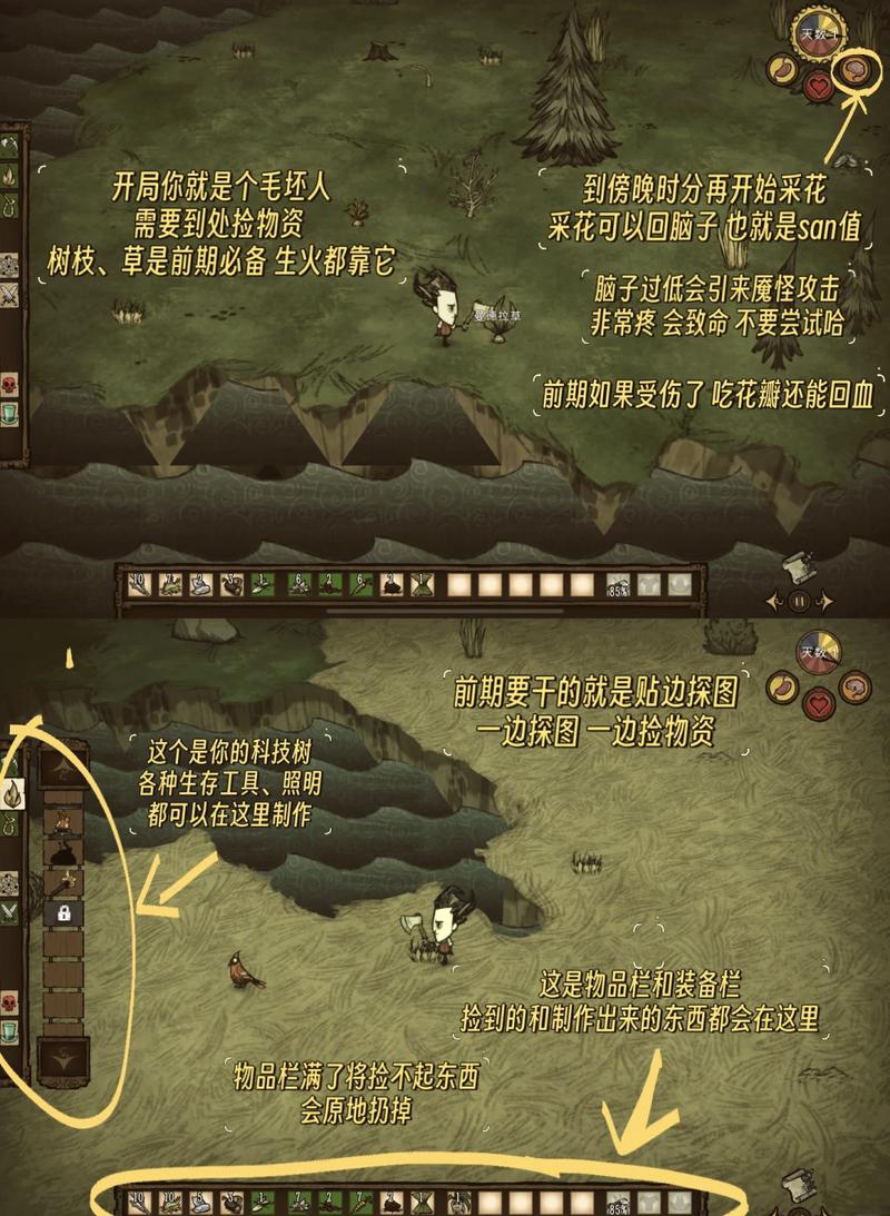 饥荒活木代码最全游戏攻略解说_饥荒活木代码最新游戏技巧通关