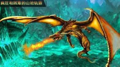 飞龙战士最全游戏攻略解说_飞龙战士最新游戏技巧通关