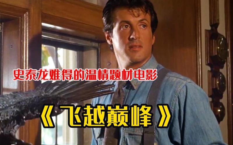 飞越颠峰最全游戏攻略解说_飞越颠峰最新游戏技巧通关