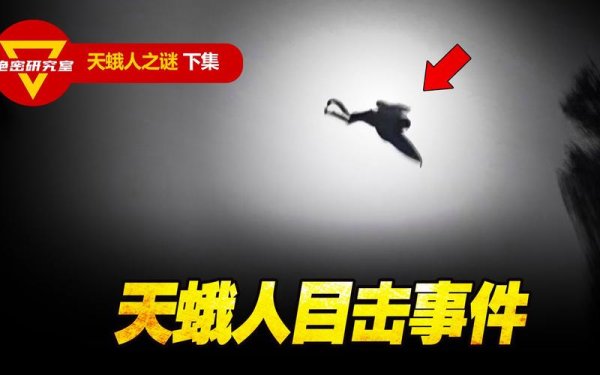 飞蛾人最全游戏攻略解说_飞蛾人最新游戏技巧通关