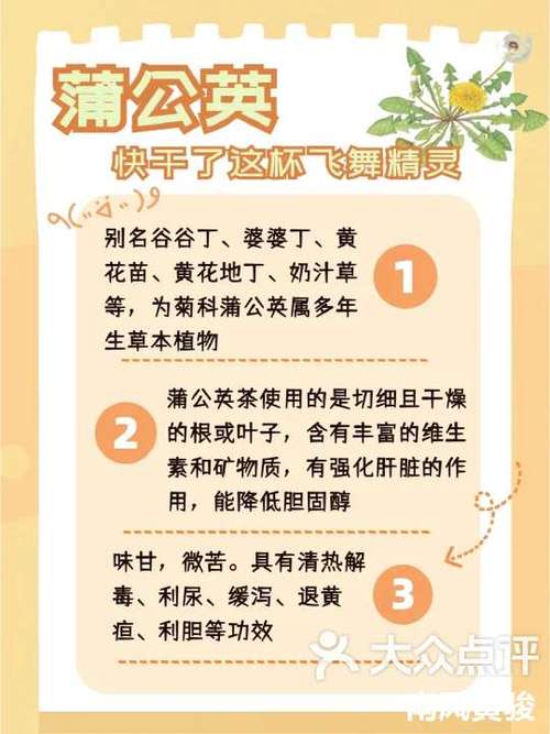 飞舞的蒲公英最全游戏攻略解说_飞舞的蒲公英最新游戏技巧通关