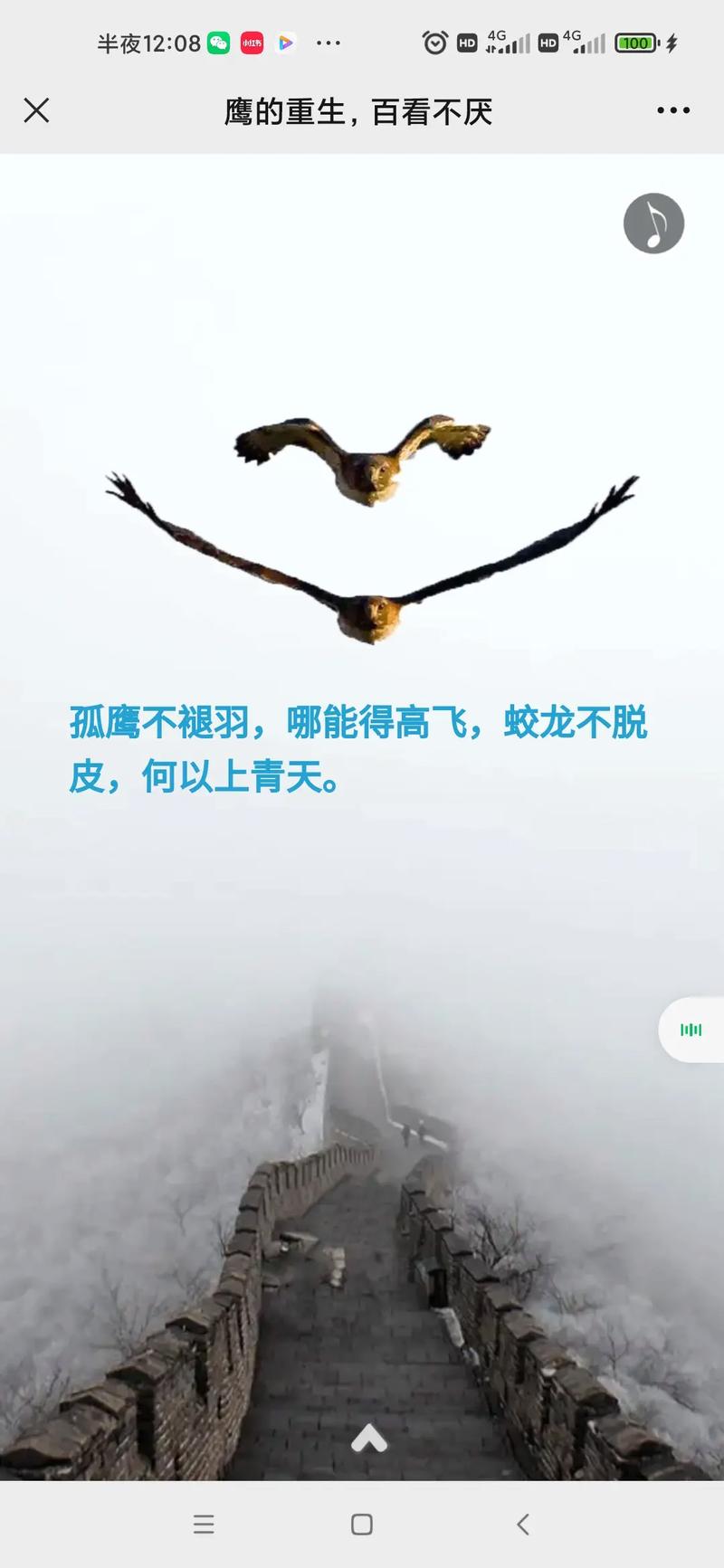 飞翔的雄鹰最全游戏攻略解说_飞翔的雄鹰最新游戏技巧通关