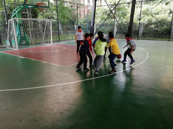 飞翔篮球梦最全游戏攻略解说_飞翔篮球梦最新游戏技巧通关