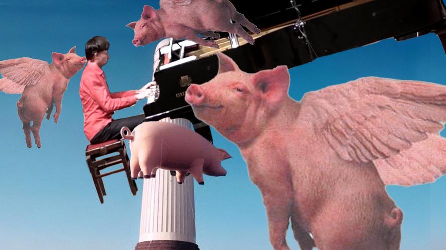 飞翔的猪最全游戏攻略解说_飞翔的猪最新游戏技巧通关