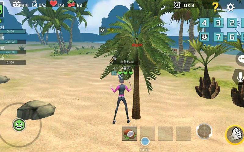 风暴岛最全游戏攻略解说_风暴岛最新游戏技巧通关