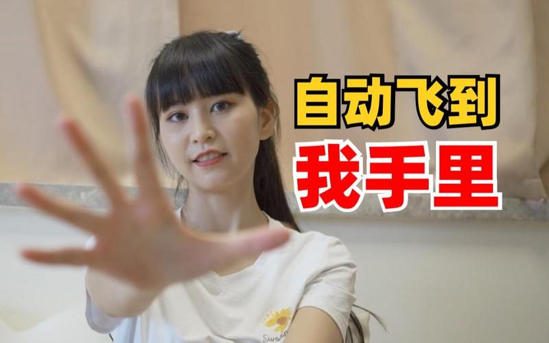 飞来咒最全游戏攻略解说_飞来咒最新游戏技巧通关