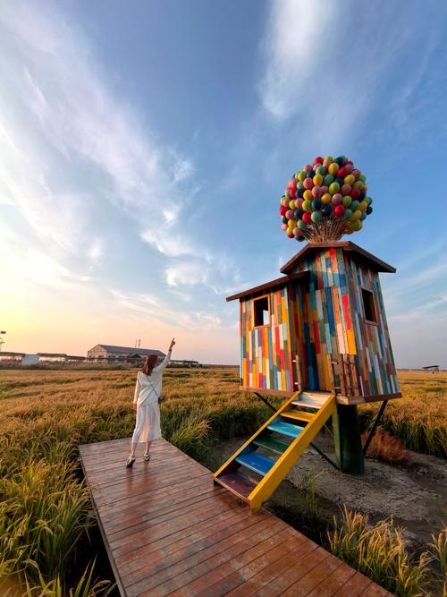 飞屋环游记游戏必备攻略_飞屋环游记游戏隐藏秘籍通关