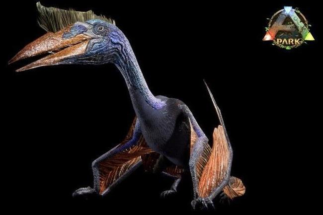 风神翼龙最全游戏攻略解说_风神翼龙最新游戏技巧通关