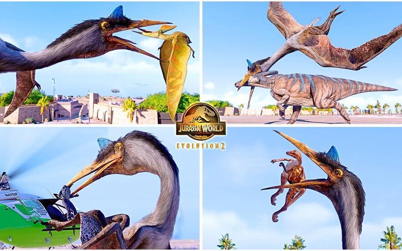 风神翼龙最全游戏攻略解说_风神翼龙最新游戏技巧通关