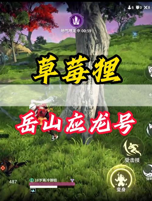 风云手游最全游戏攻略解说_风云手游最新游戏技巧通关