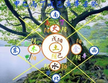 顽冥最全游戏攻略解说_顽冥最新游戏技巧通关