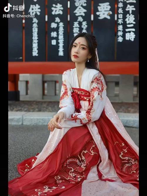 韶华白首最全游戏攻略解说_韶华白首最新游戏技巧通关