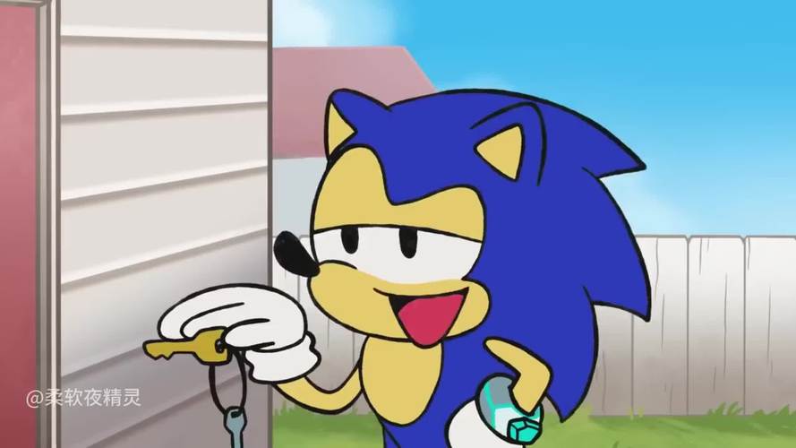 音速小子索尼克最新攻略秘籍_音速小子索尼克通关技巧全解析