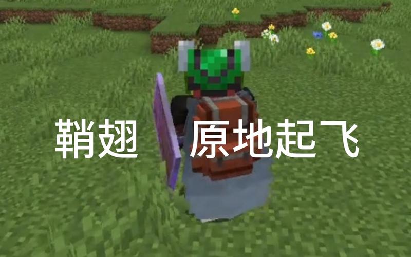 鞘翅游戏最全攻略解说_鞘翅游戏最新技巧通关