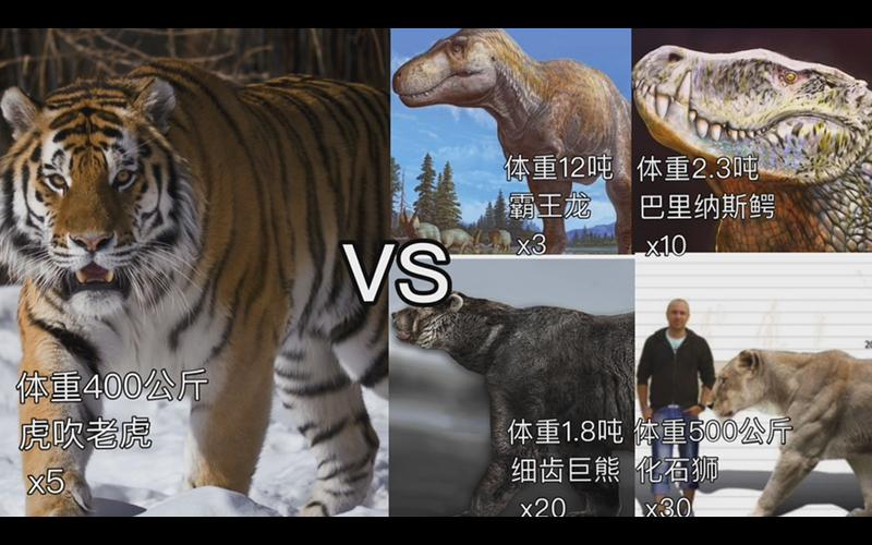 霸王虎最全游戏攻略解说_霸王虎最新游戏技巧通关