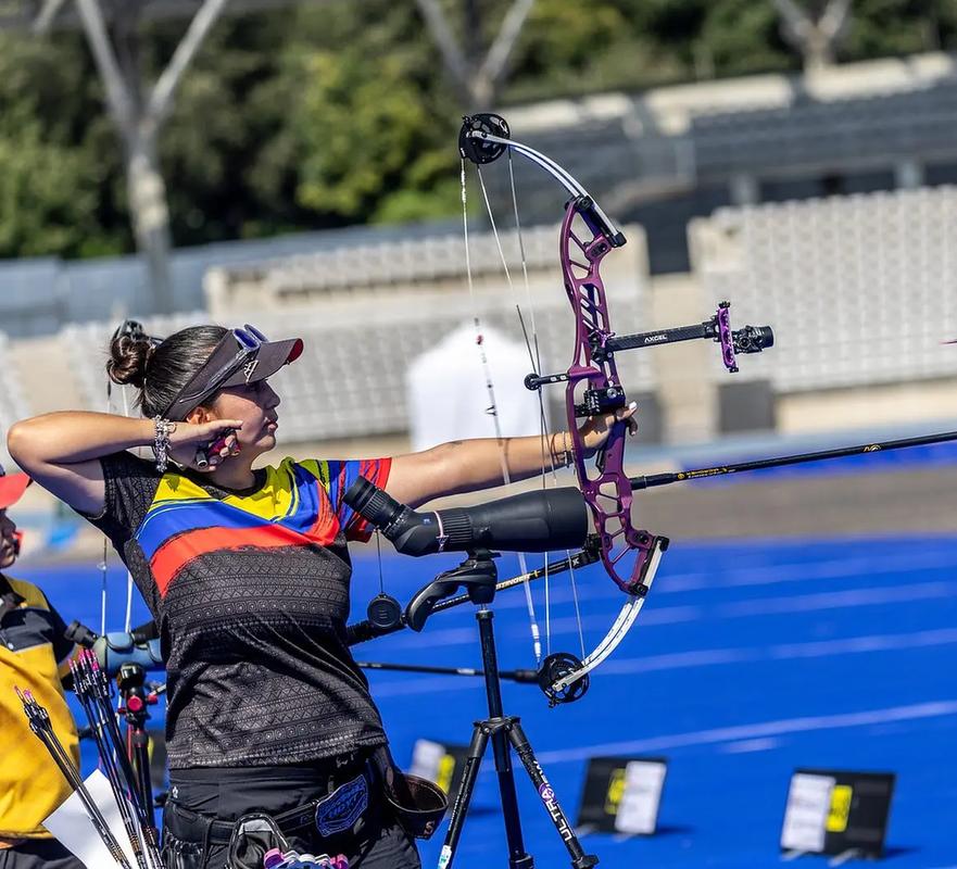 霍伊特最全游戏攻略解说_霍伊特最新游戏技巧通关