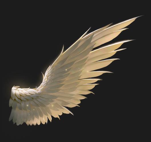 雷霆之翼翅膀系统全解_雷霆之翼翅膀获取进化搭配攻略