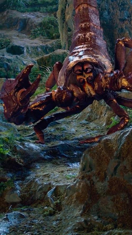 雷蝎最全游戏攻略解说_雷蝎最新游戏技巧通关