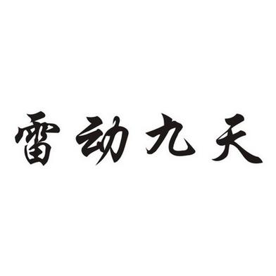 雷动九天最全游戏攻略解说_雷动九天最新游戏技巧通关