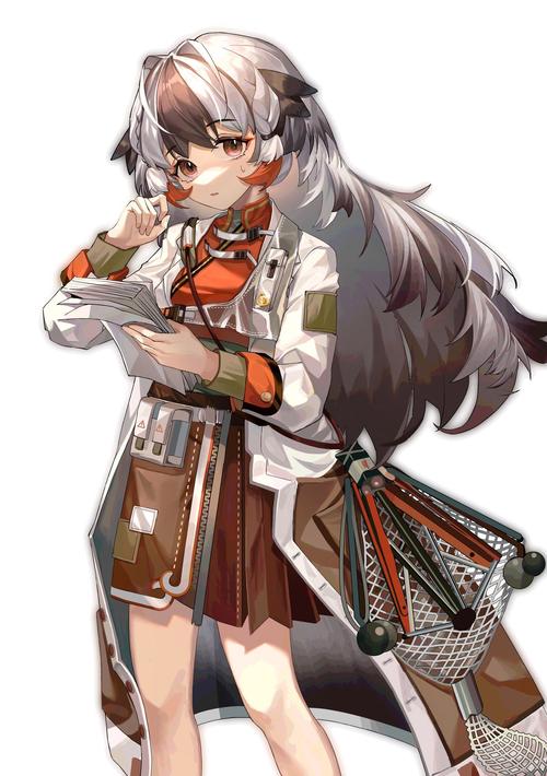 雪雉最全游戏攻略解说_雪雉最新游戏技巧通关