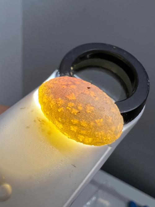 雪花蛋最全游戏攻略解说_雪花蛋最新游戏技巧通关