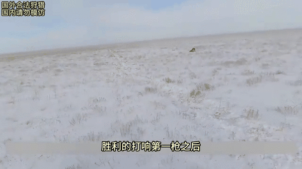 雪原狼最全游戏攻略解说_雪原狼最新游戏技巧通关
