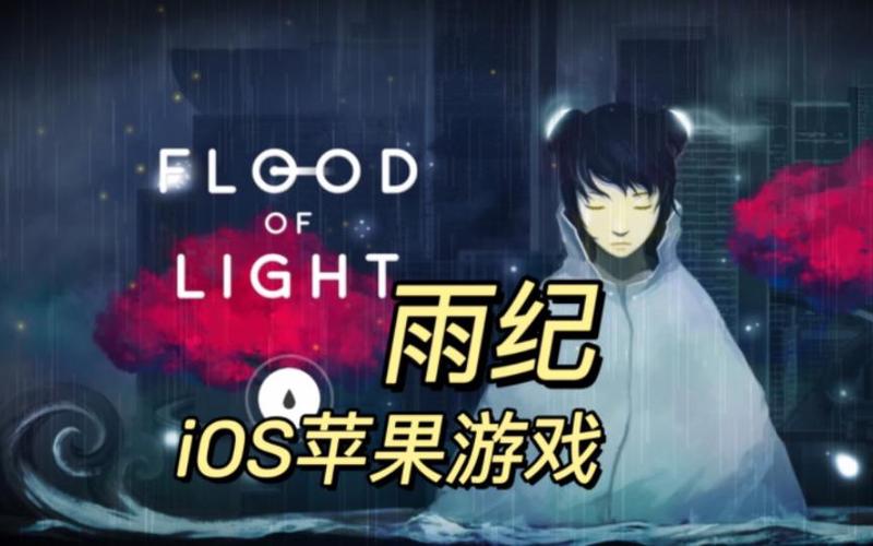 雨纪最全游戏攻略解说_雨纪最新游戏技巧通关