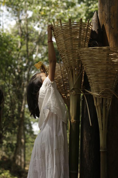 雨林精灵最全游戏攻略解说_雨林精灵最新游戏技巧通关