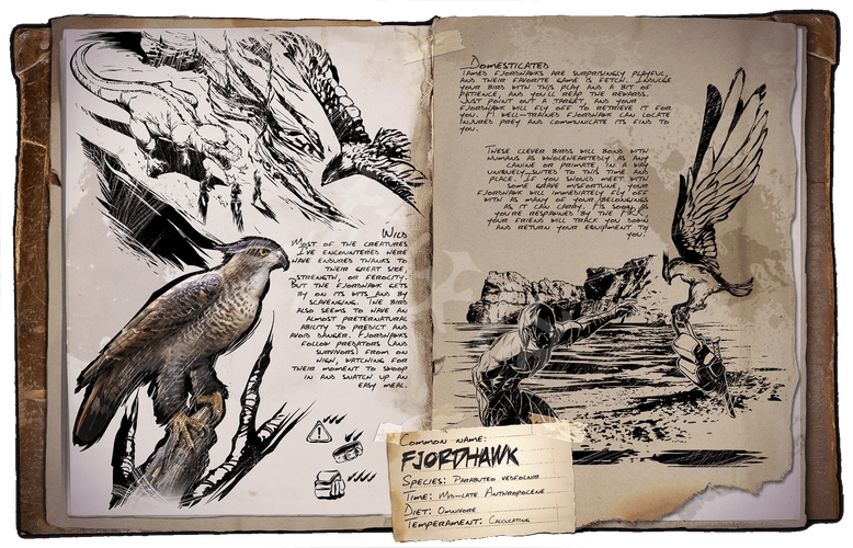 隼鹰最全游戏攻略解说_隼鹰最新游戏技巧通关