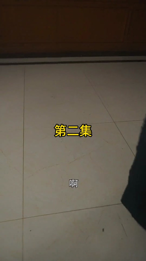 隐龙传最全游戏攻略解说_隐龙传最新游戏技巧通关