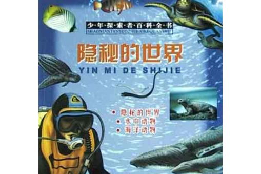 隐秘的世界通关技巧全解析_隐秘的世界最新攻略