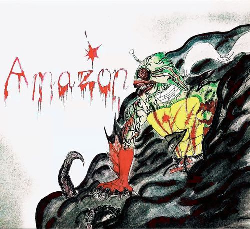 阿玛宗最全游戏攻略解说_阿玛宗最新游戏技巧通关