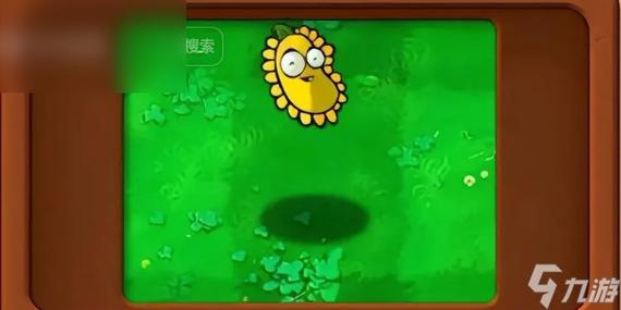 阳光豆最全游戏攻略解说_阳光豆最新游戏技巧通关