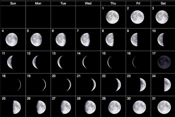 闰日游戏最全攻略解说_闰日游戏最新技巧通关