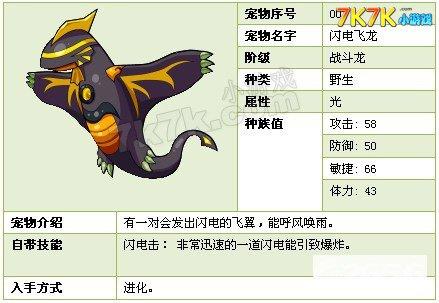 闪电飞龙最全游戏攻略解说_闪电飞龙最新游戏技巧通关