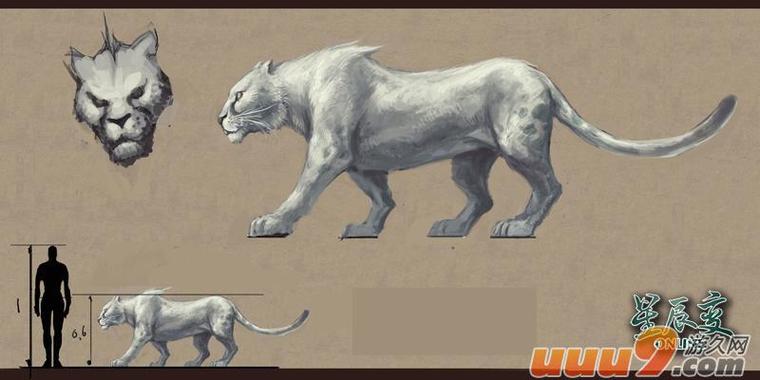 闪电豹最全游戏攻略解说_闪电豹最新游戏技巧通关