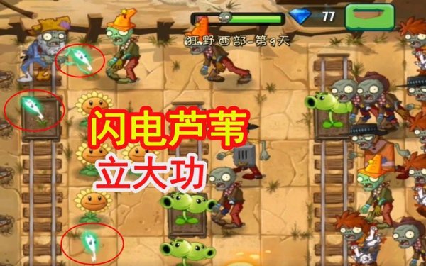 闪电芦苇最全游戏攻略解说_闪电芦苇最新游戏技巧通关